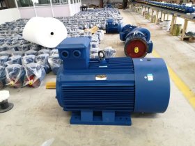 帶電磁制動電機(jī)-電磁制動電機(jī)與電機(jī)帶制動器，是同個(gè)意思嗎？是一樣的嗎？